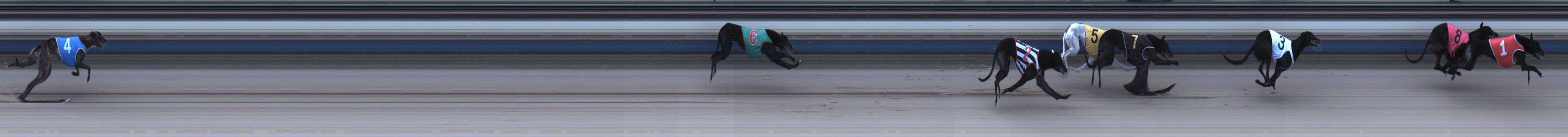Photo finish for Sale Race 6