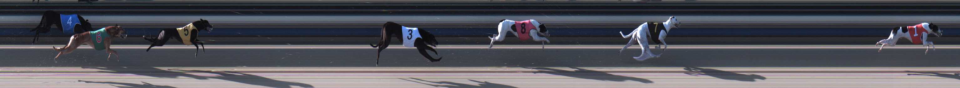 Photo finish for Sale Race 7