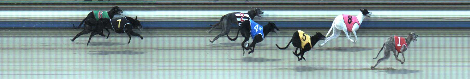 Photo finish for Sale Race 9