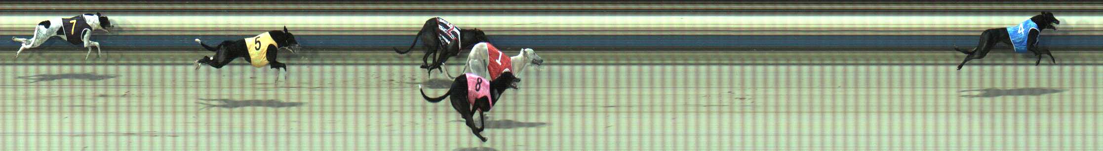 Photo finish for Sale Race 10