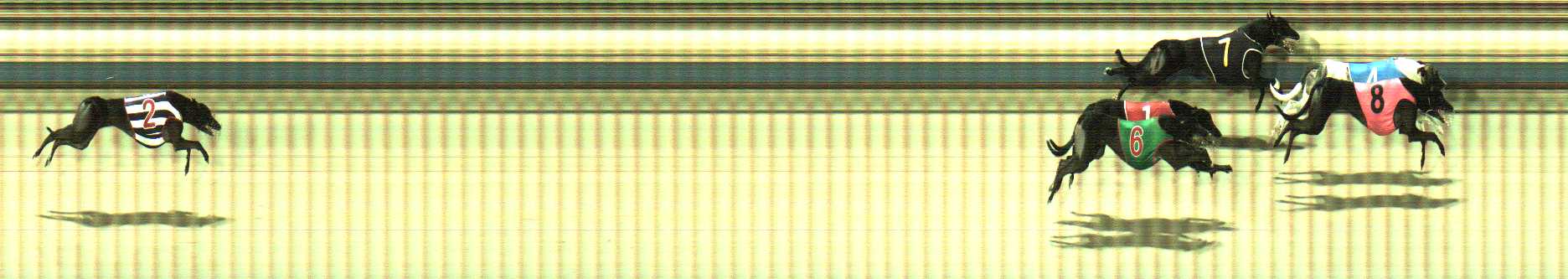 Photo finish for Sale Race 11