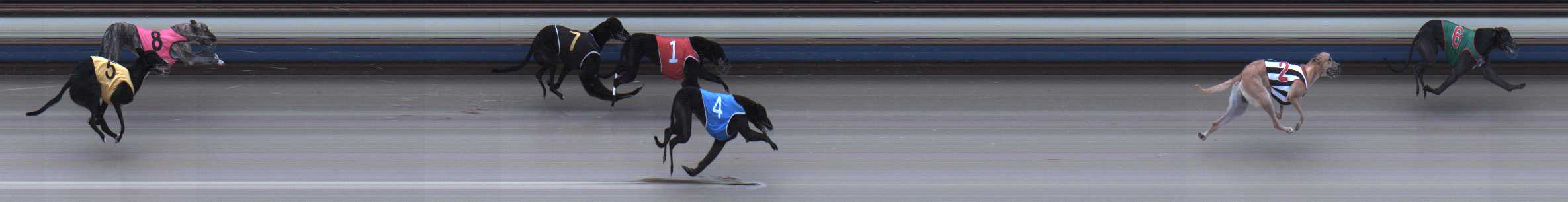 Photo finish for Sale Race 1