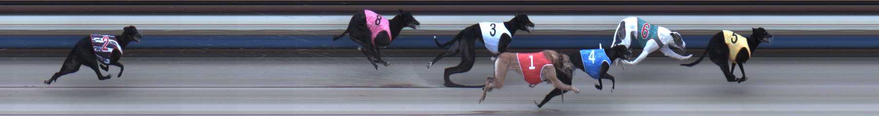 Photo finish for Sale Race 2