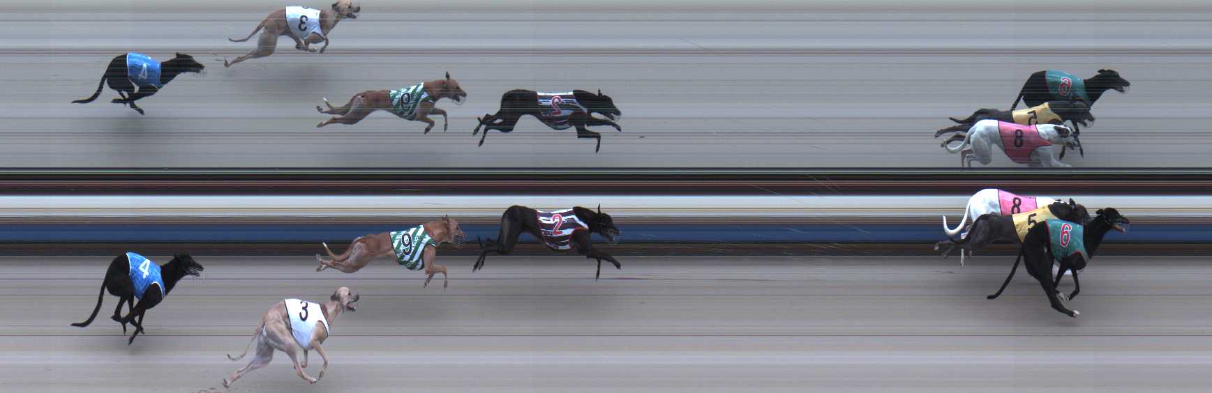 Photo finish for Sale Race 3