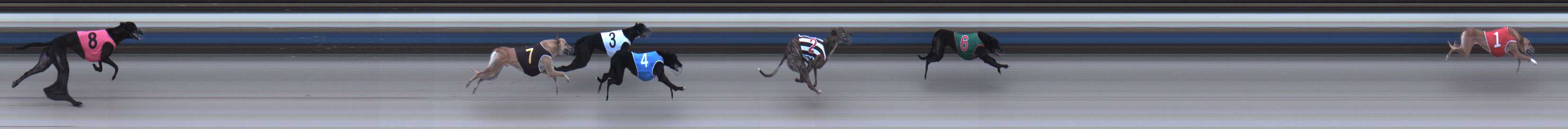 Photo finish for Sale Race 4