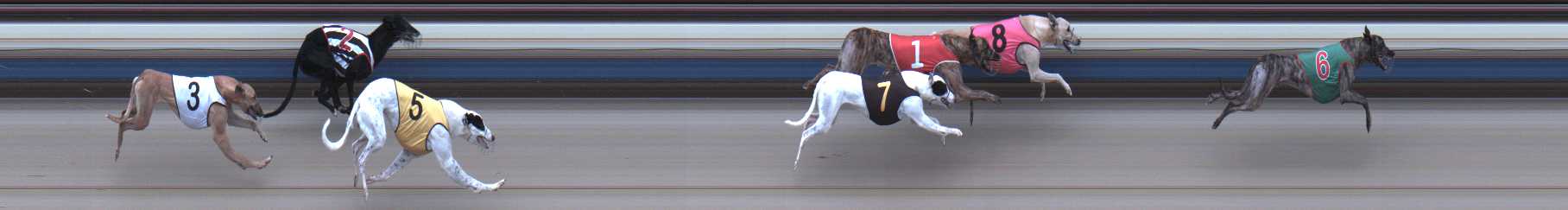 Photo finish for Sale Race 5