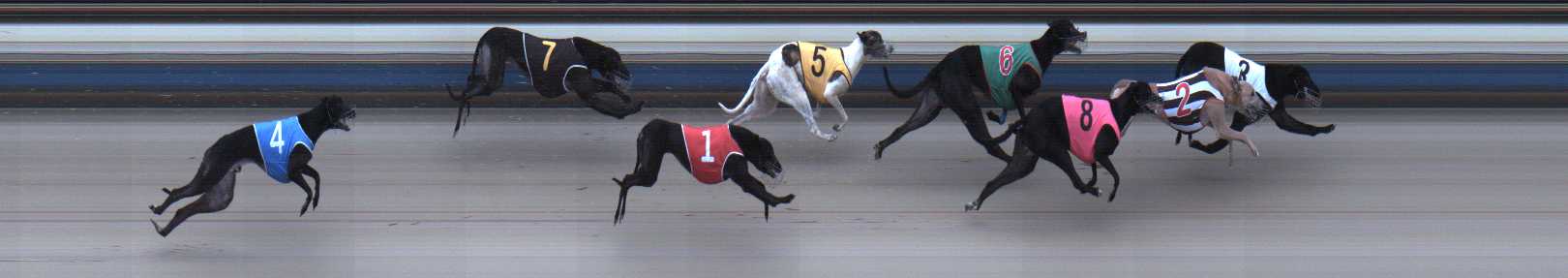 Photo finish for Sale Race 6