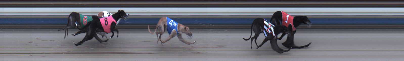 Photo finish for Sale Race 7