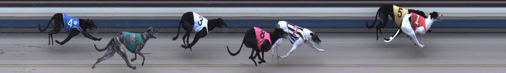 Photo finish for Sale Race 8