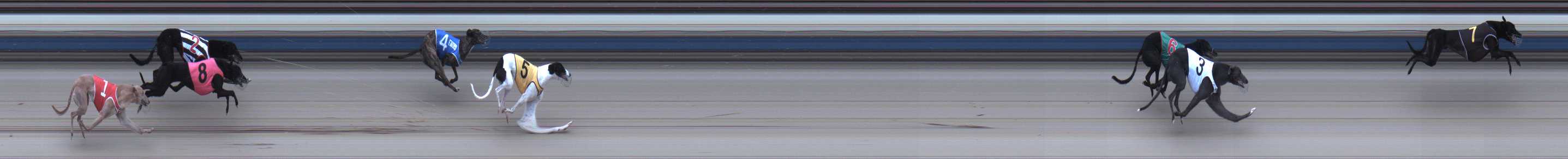 Photo finish for Sale Race 9