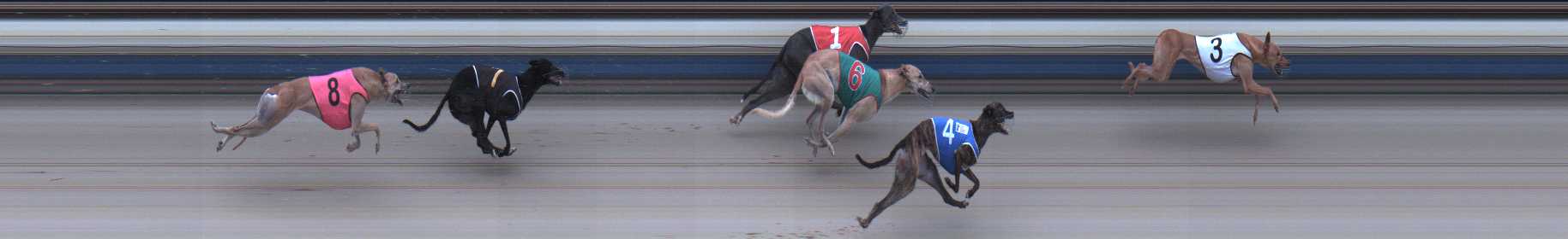 Photo finish for Sale Race 10