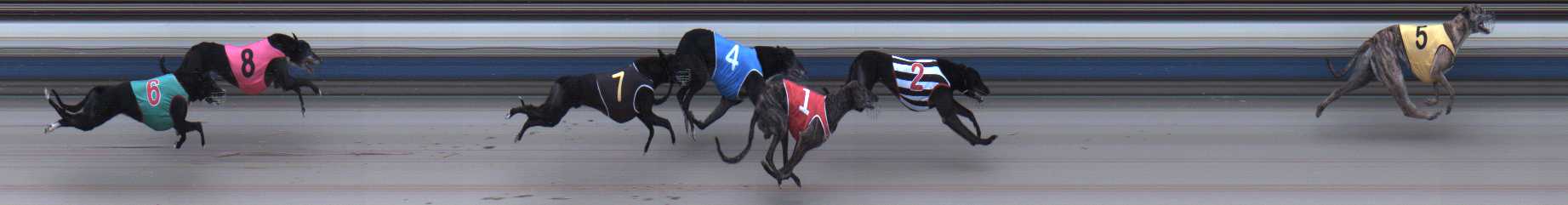 Photo finish for Sale Race 11