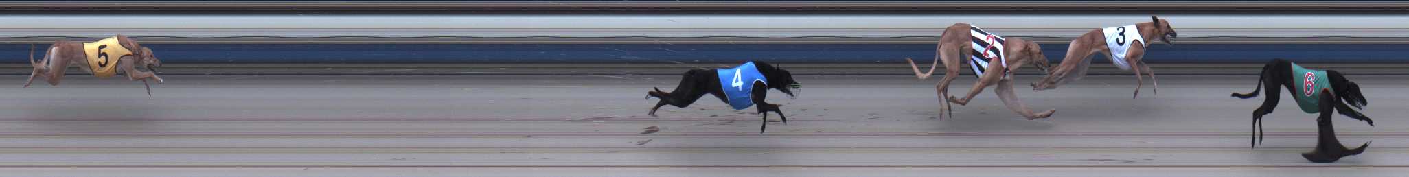 Photo finish for Sale Race 12