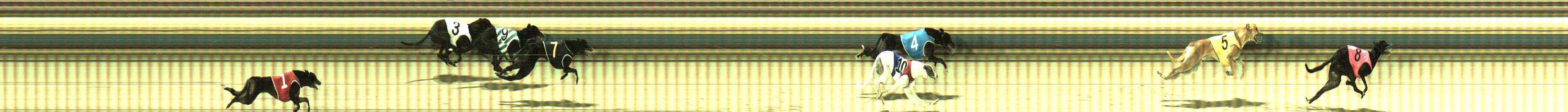 Photo finish for Sale Race 2