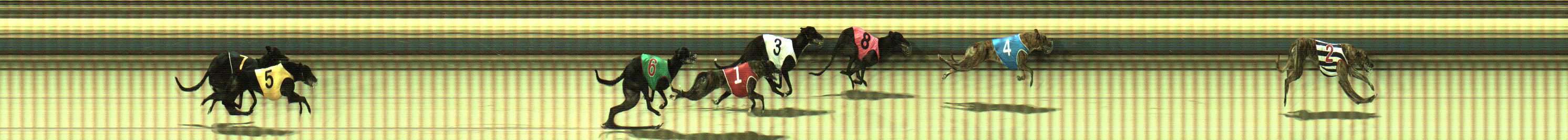 Photo finish for Sale Race 3