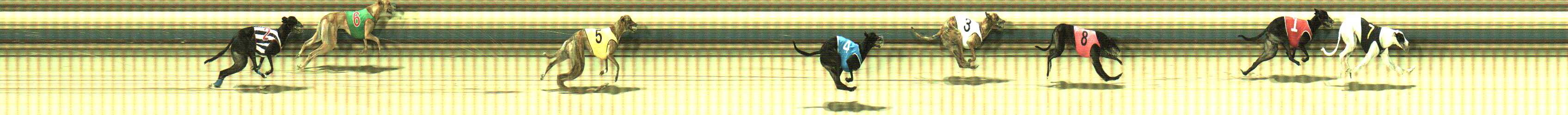 Photo finish for Sale Race 7