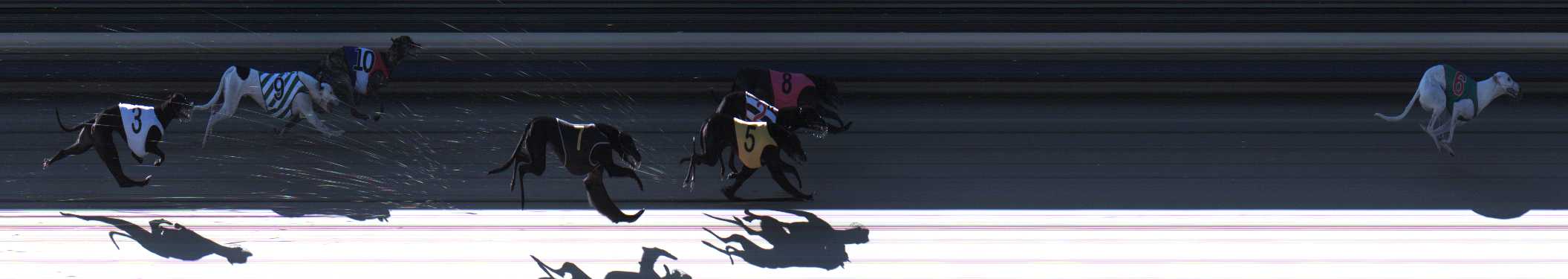 Photo finish for Sale Race 2