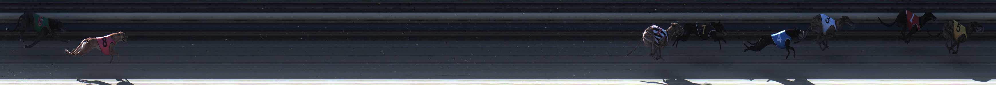 Photo finish for Sale Race 3