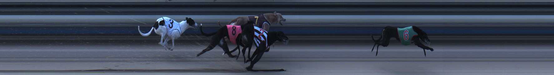 Photo finish for Sale Race 5