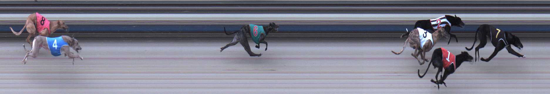 Photo finish for Sale Race 9