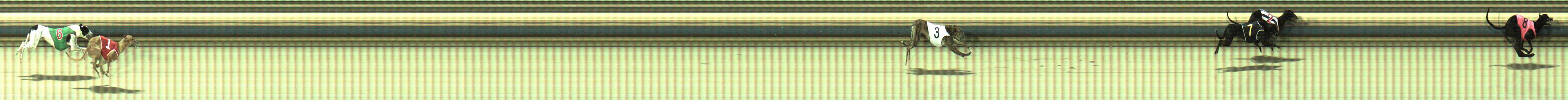 Photo finish for Sale Race 11
