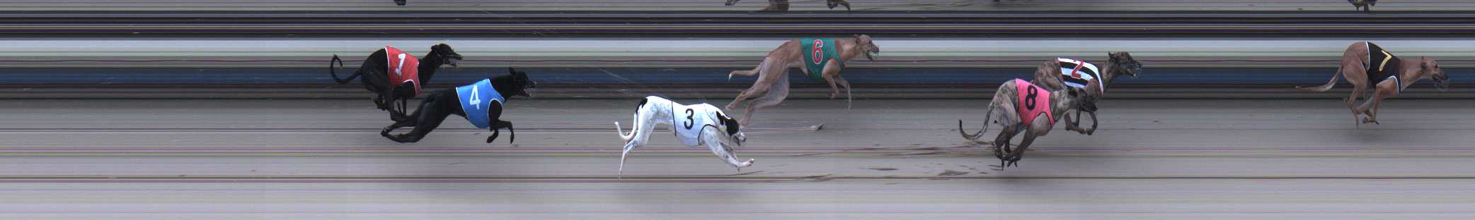 Photo finish for Sale Race 4