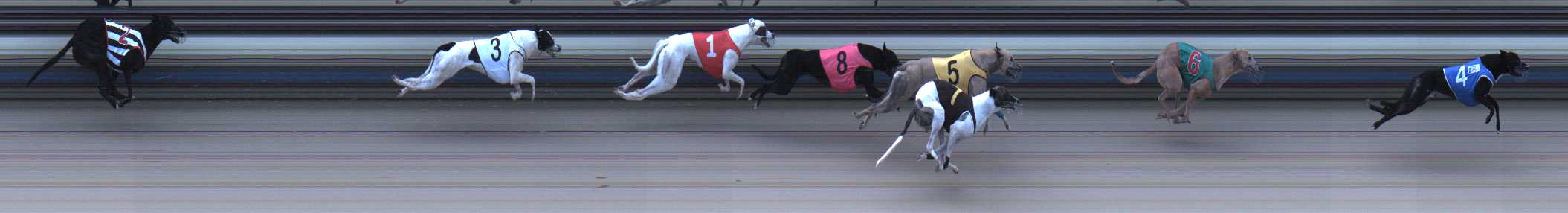 Photo finish for Sale Race 6