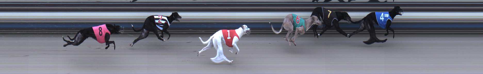 Photo finish for Sale Race 7