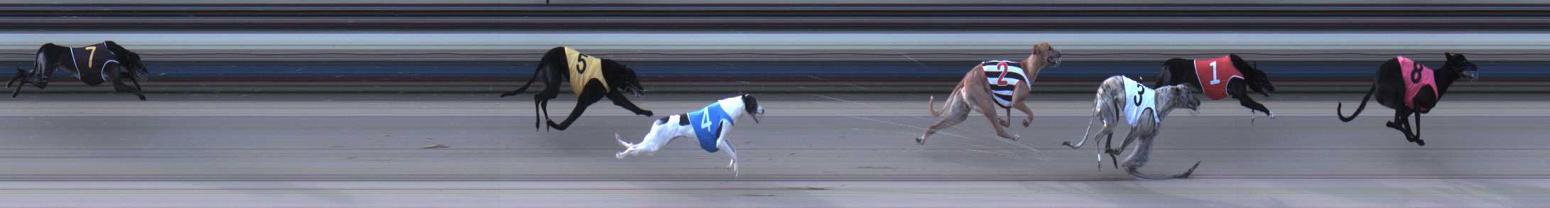 Photo finish for Sale Race 8