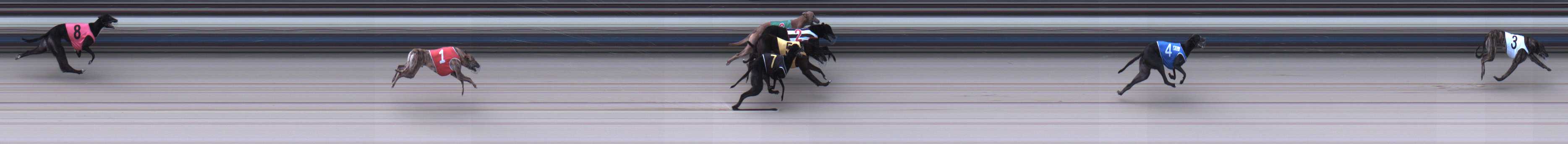 Photo finish for Sale Race 9
