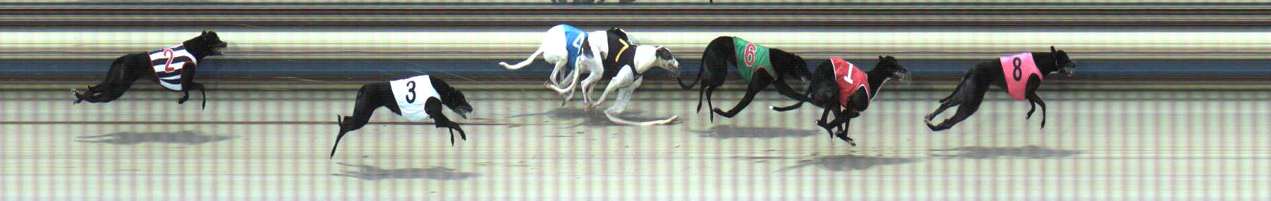 Photo finish for Sale Race 11