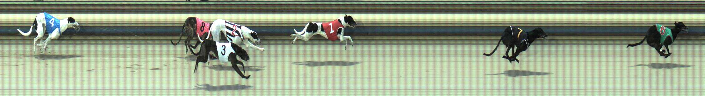 Photo finish for Sale Race 12