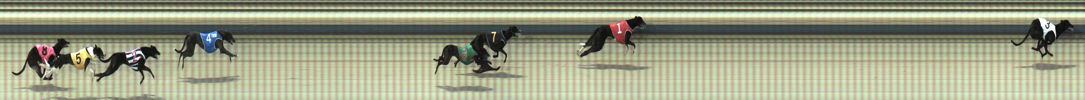 Photo finish for Sale Race 1