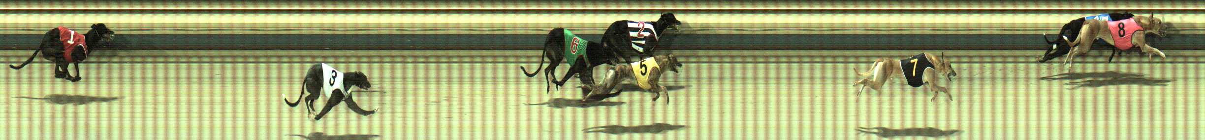 Photo finish for Sale Race 2