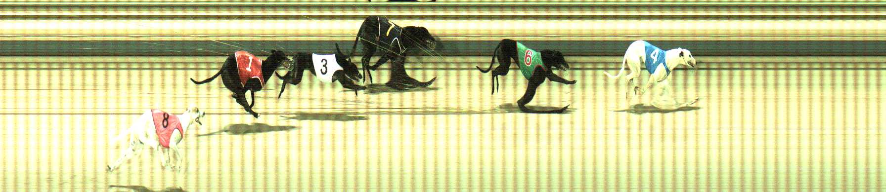 Photo finish for Sale Race 4