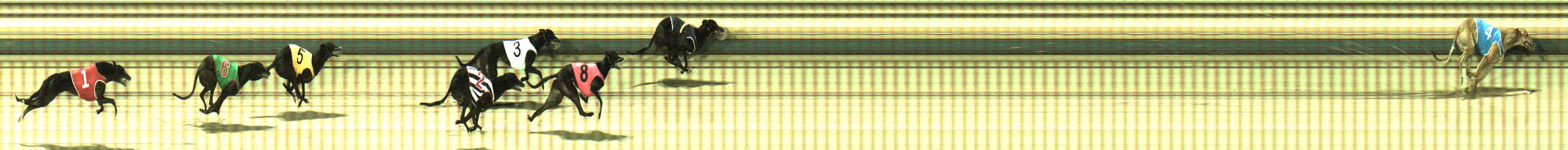 Photo finish for Sale Race 5