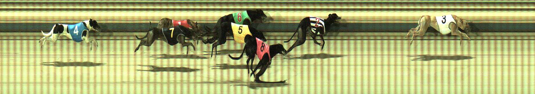Photo finish for Sale Race 6