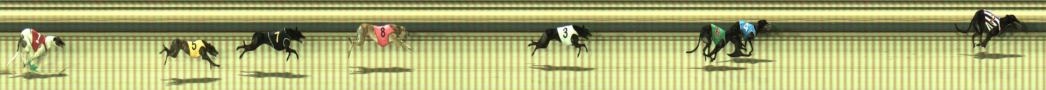 Photo finish for Sale Race 7