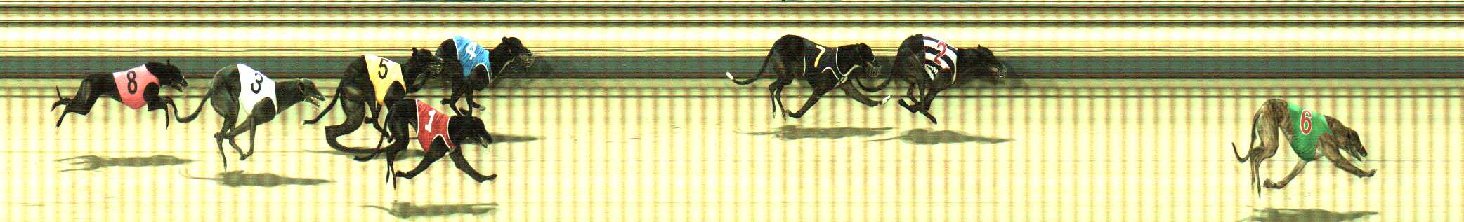 Photo finish for Sale Race 8