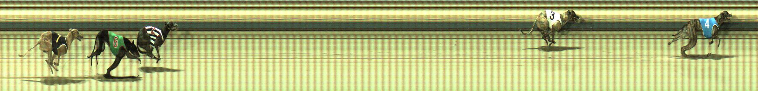 Photo finish for Sale Race 9