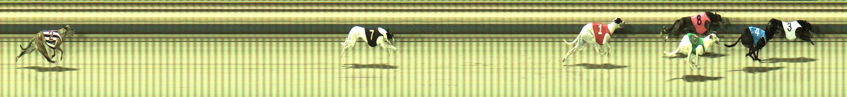Photo finish for Sale Race 10