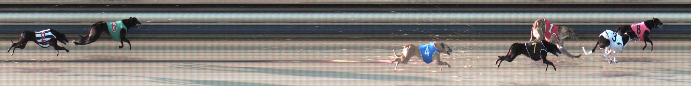 Photo finish for Sale Race 1