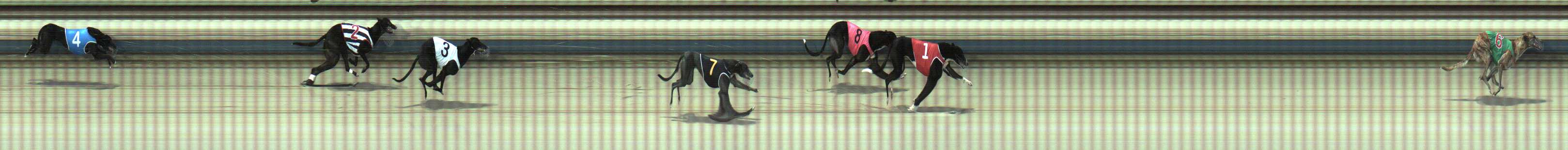 Photo finish for Sale Race 2