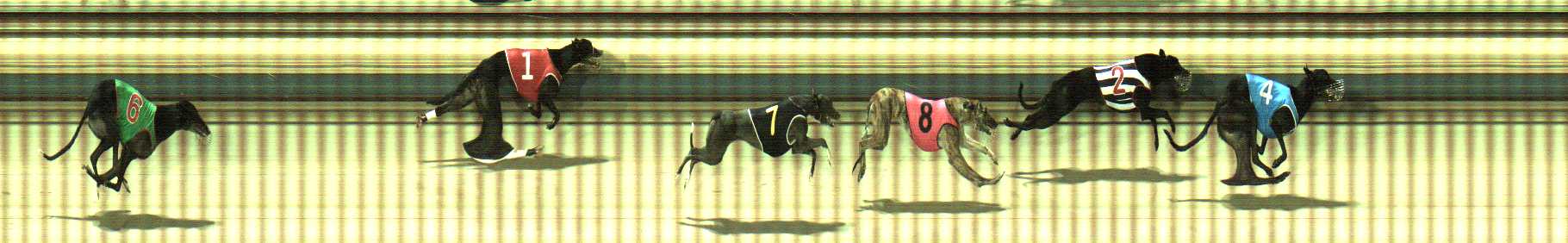 Photo finish for Sale Race 3