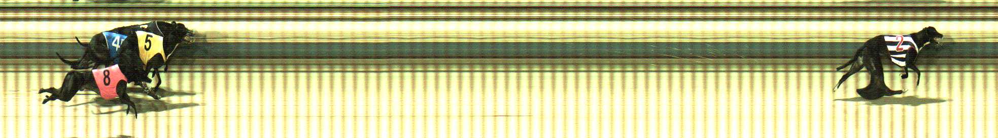 Photo finish for Sale Race 4