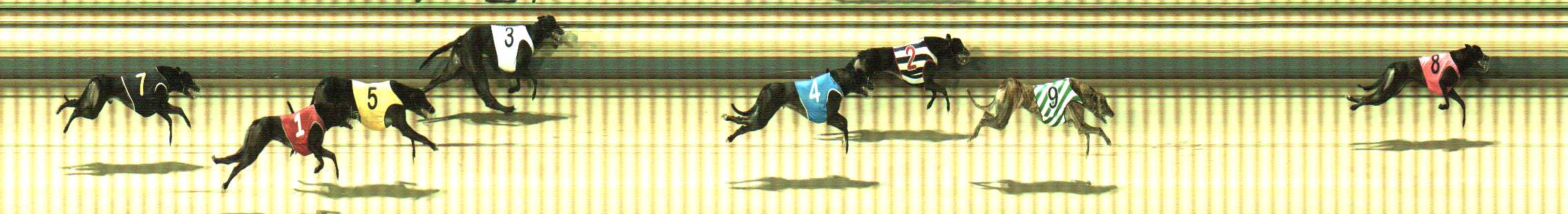 Photo finish for Sale Race 8