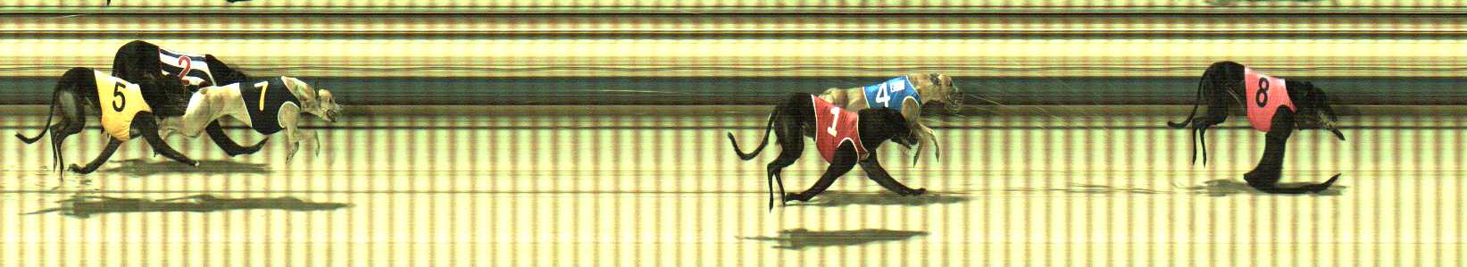 Photo finish for Sale Race 9