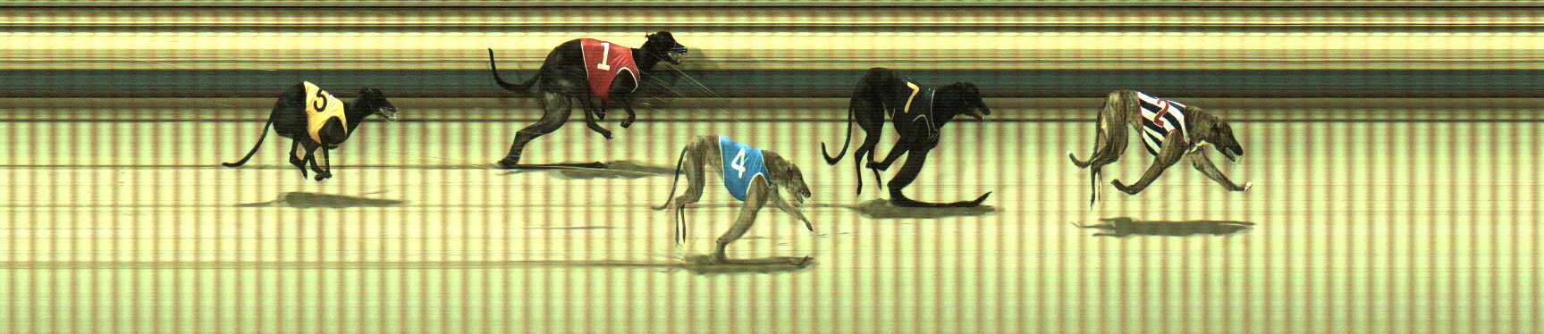 Photo finish for Sale Race 10