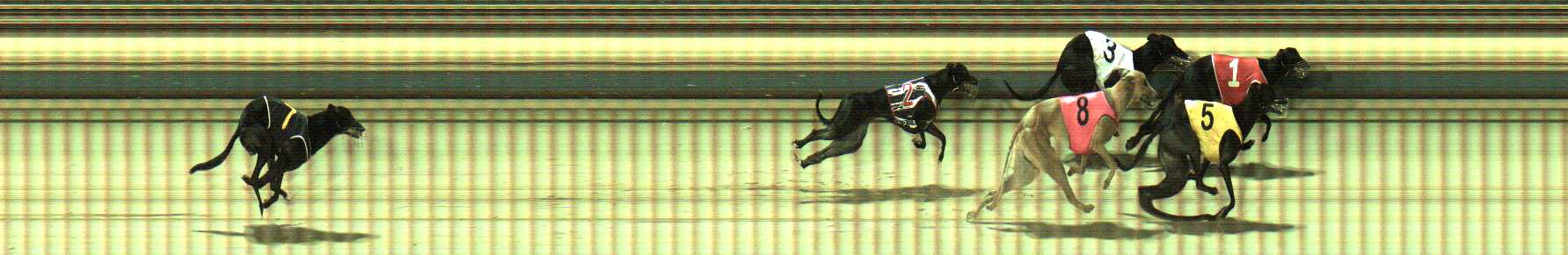 Photo finish for Sale Race 3