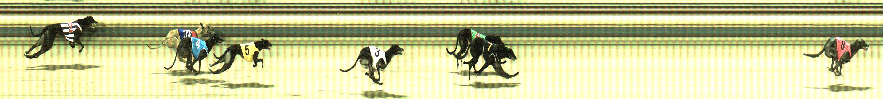 Photo finish for Sale Race 5